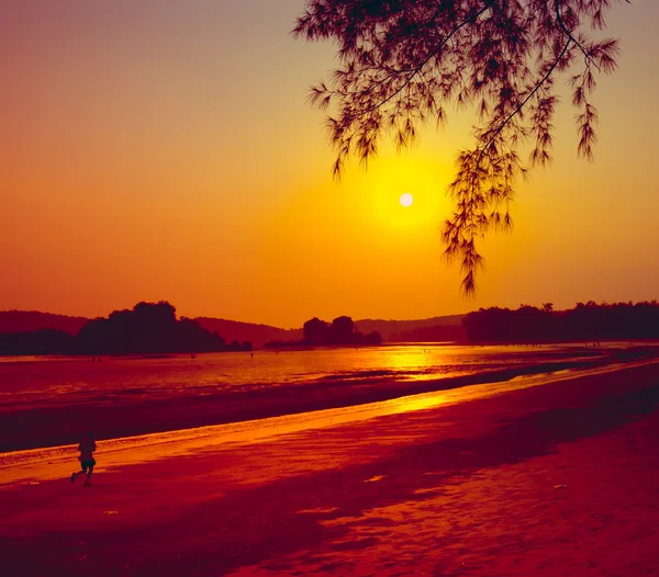 Atardecer tropical — Foto de Stock