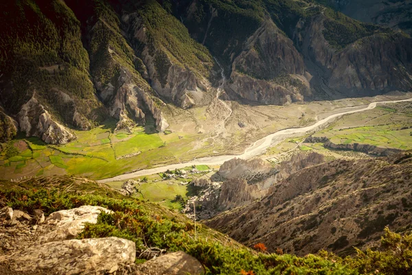 Schöne asiatische Landschaft — Stockfoto