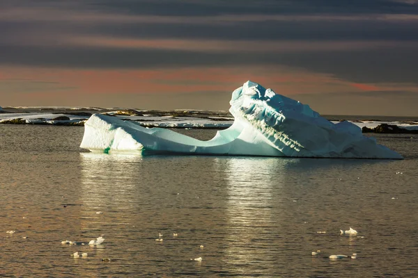 Antarktiszi gleccser — Stock Fotó