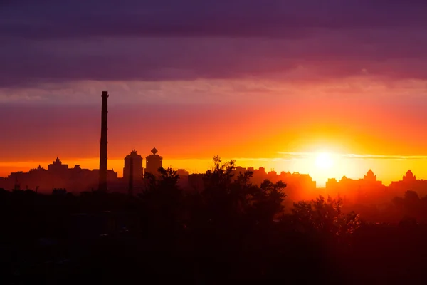 Sommaren sunrise — Stockfoto