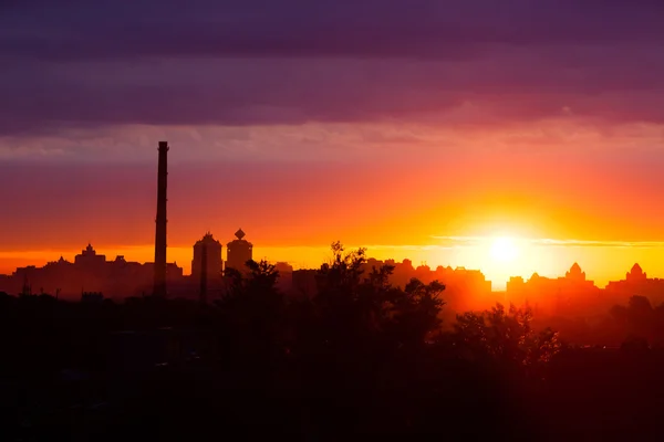 Summer  sunrise — Stock Photo, Image