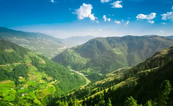 Valle de montaña — Foto de Stock