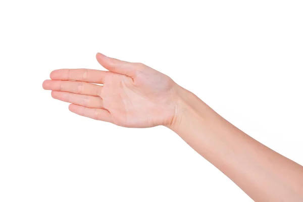 Woman hand — Stock Photo, Image