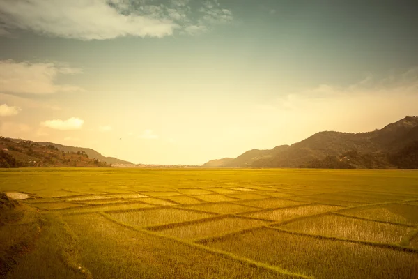 Mooie Aziatische landschap — Stockfoto