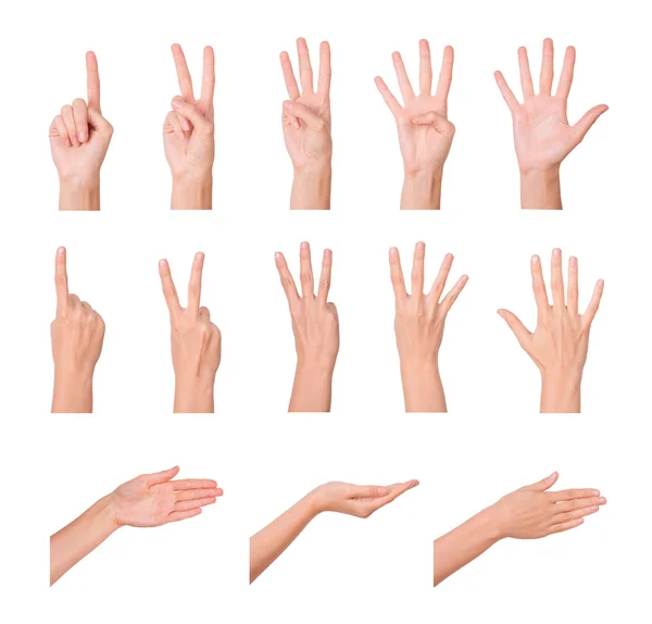 Руки, пальцы и числа — стоковое фото