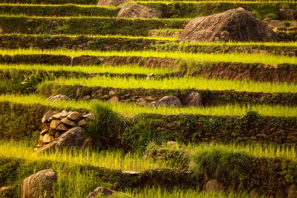 Bela paisagem asiática — Fotografia de Stock