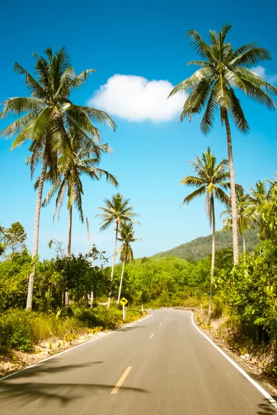 Pěkné asfaltové silnici s palmami — Stock fotografie