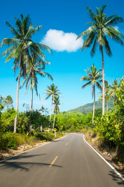 Bonito camino de asfalto con palmeras — Foto de Stock