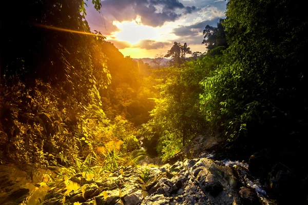 Prachtig zomers landschap — Stockfoto