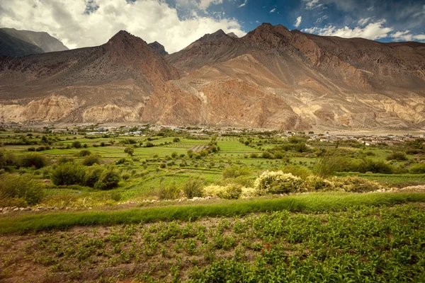 Beautiful Asian landscape — Stock Photo, Image