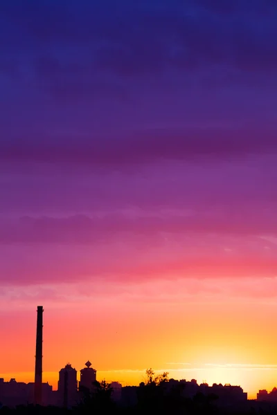 Летний восход солнца — стоковое фото