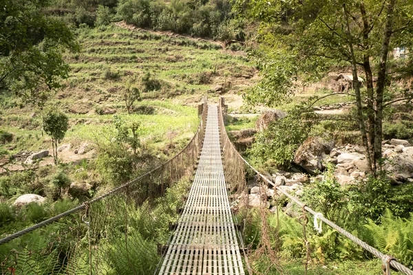 Pont suspendu — Photo