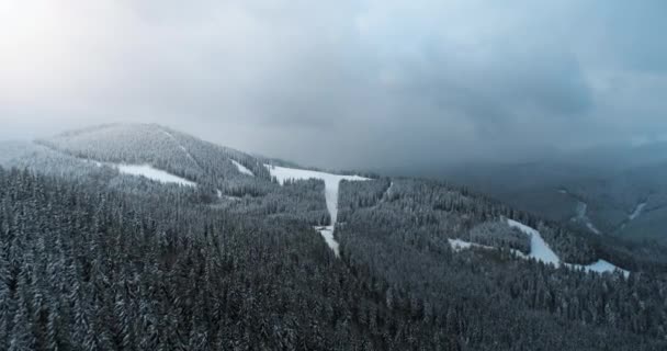 Dramático paisaje de bosque de montaña de invierno. Vuelo aéreo sobre el bosque de pinos de nieve en Cárpatos — Vídeo de stock