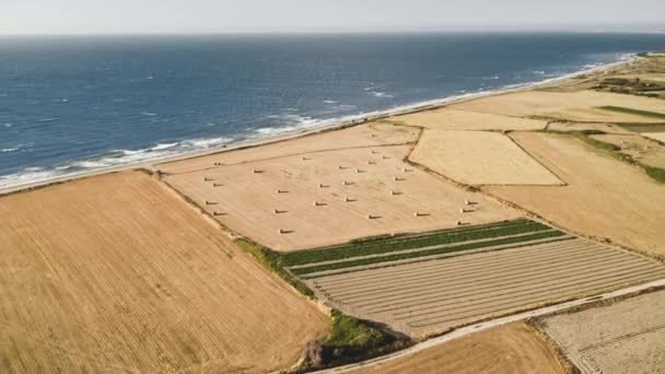 Paysage champêtre estival. Champ aérien de blé jaune près de la côte océanique. Récolte, concept de ferme — Video