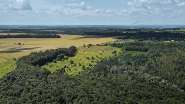 Green tree forest galben fields in wild nature landscape area near small village — Videoclip de stoc