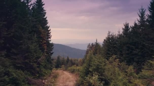 Bergweg in dennenbos. Sunset mount bereik piek in de achtergrond. Trekking in Karpaten — Stockvideo