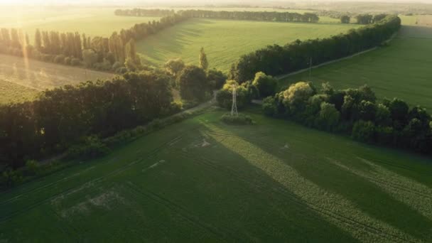 Campo fazenda campos vista aérea. Pôr do sol sobre campos de prados verdes, árvores, estrada rural — Vídeo de Stock