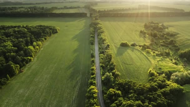 Platteland asfaltweg bij zonsondergang licht. Luchtvlucht: nieuwe lege snelweg, groene velden, weilanden — Stockvideo