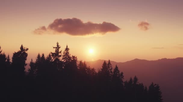 Colorido paisaje al atardecer en el bosque de montaña. Sol naranja sobre silueta de pinos. — Vídeo de stock