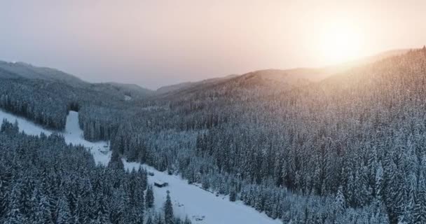 Sonnenuntergang Winter Schnee Berghang in Kiefernwald. Aerial rosa Sonnenaufgang Szene. Winterurlaub — Stockvideo