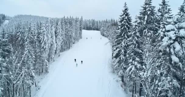 Сніговий гірський схил з людьми на лижах та сноуборді, сосновий ліс навколо. Повітряний безпілотник fligh — стокове відео