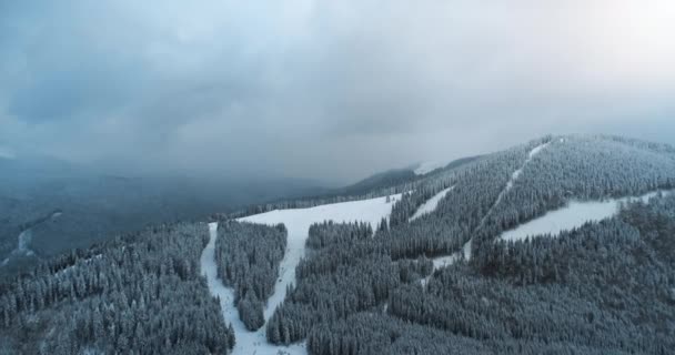 Dramatyczne zimowe zbocza górskie. Lot lotniczy nad lasem sosnowym w alpejskich górach — Wideo stockowe