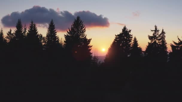 Skogs soluppgång landskap panorama. Natur tapet bakgrund. Tallskog siluett, färgglad himmel — Stockvideo