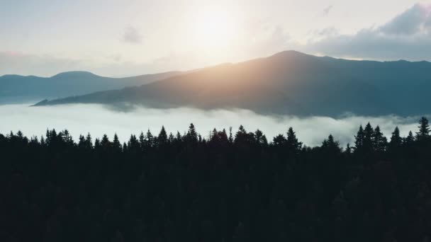 Ispirante paesaggio montano all'alba. Mattina nebbia in altopiani valle sopra silhouette foresta. — Video Stock