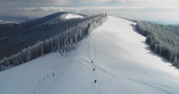 Motoslitte di montagna in sella alla cima sulla catena montuosa innevata con pineta. Viaggi nella natura — Video Stock