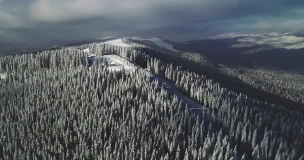 空中冬アルプスの山の風景。雪の丘の上に松の木の森覆われた。冬の山斜面 — ストック動画