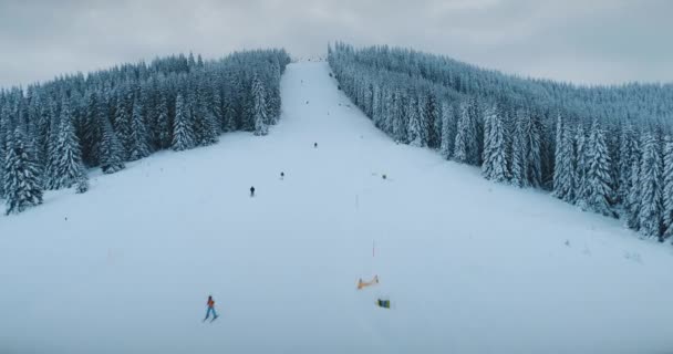 Pessoas a esquiar. Turistas esporte de inverno nos Alpes. Declive de neve na estância de esqui de montanha. Pista de esqui na floresta — Vídeo de Stock