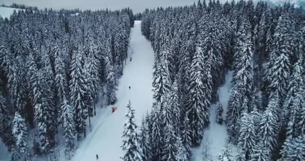 Gente esquiando en una estación de esquí en los Alpes. Vuelo aéreo sobre pista de esquí en bosque de invierno — Vídeos de Stock