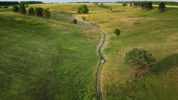 Carro dirigindo estrada rural no prado verde. Vista aérea da trilha do carro no campo de grama verde, colinas, árvores — Vídeo de Stock