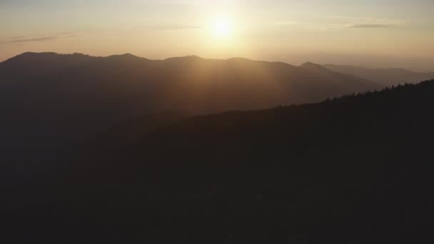 アルプスの山の尾根のシルエットの上にオレンジの夕日。松林に覆われた高原の丘 — ストック動画