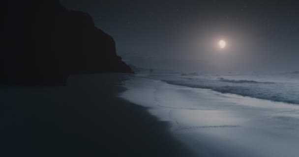 Luz Luna Olas Del Océano Lavan Playa Arena Luna Aérea — Vídeos de Stock