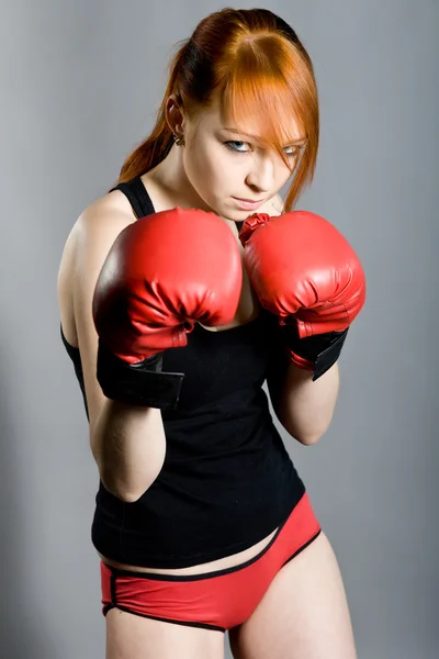 Boxer opleiding — Stockfoto