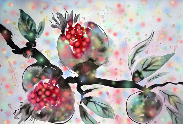 Pomegranates Stock Picture