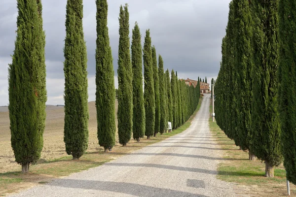 Paisagem toscana — Fotografia de Stock