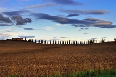 pienza, vall d'orcia İtalya, Avrupa yakınındaki günbatımı ışığı, pastoral tuscan peyzaj