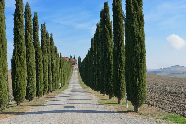 Paisagem Idílica da Toscana — Fotografia de Stock