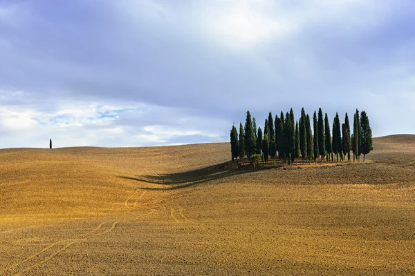 Paisaje idílico toscano — Foto de Stock