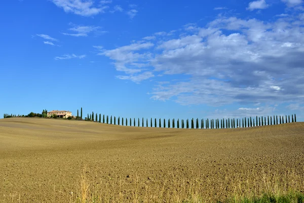 Paesaggio idilliaco toscano — Foto Stock