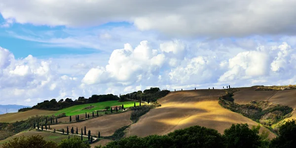 Paesaggio idilliaco toscano con campi sterrati e cipressi vicino Pienza, Vall d'Orcia Italia, Europa — Foto Stock