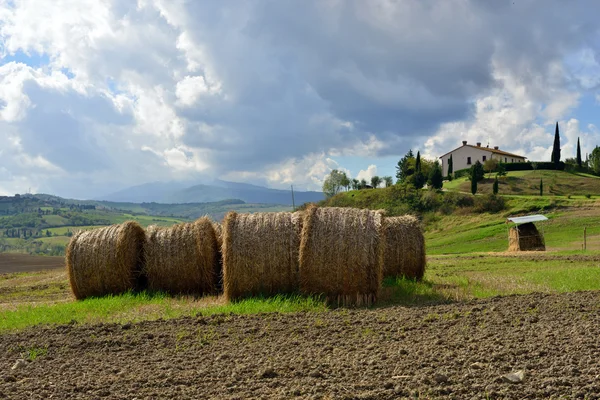 Paisaje toscano — Foto de Stock