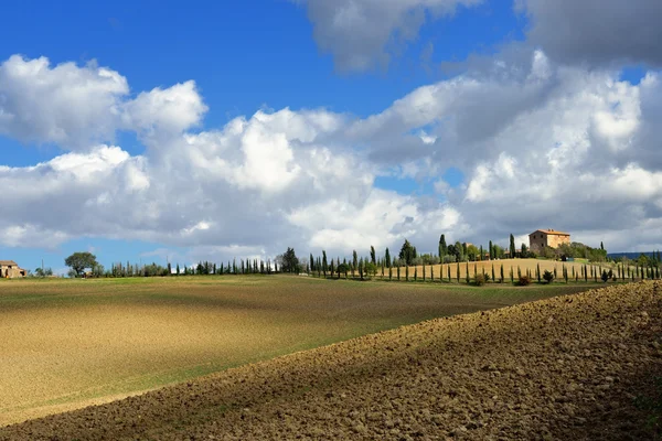 Paisaje toscano — Foto de Stock