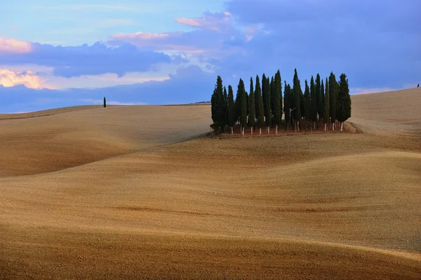 Toscaans landschap — Stockfoto