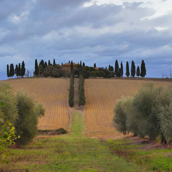 Paisaje idílico toscano — Foto de Stock