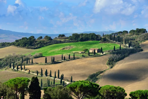 Paisaje rural toscano — Foto de Stock