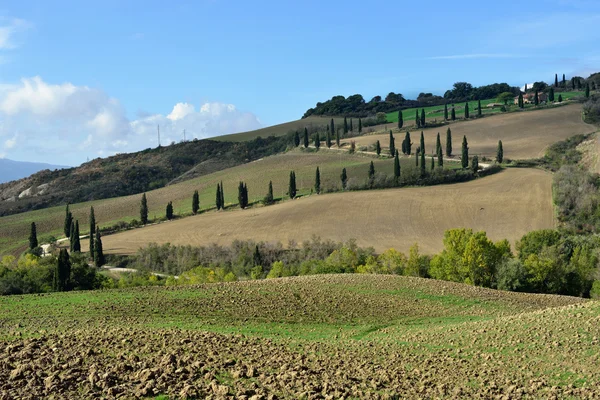 Paisaje rural toscano — Foto de Stock