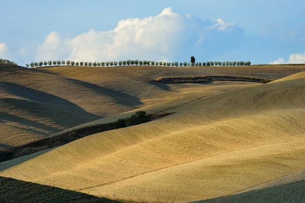 Toscaans landschap — Stockfoto